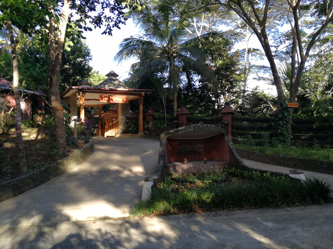 Sabang酒店住宿-Atremaru Jungle Retreat