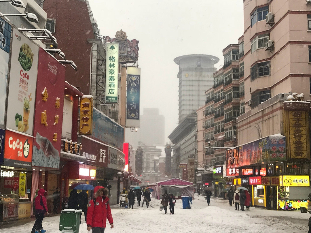 狮子桥步行美食街-南京市必去景点