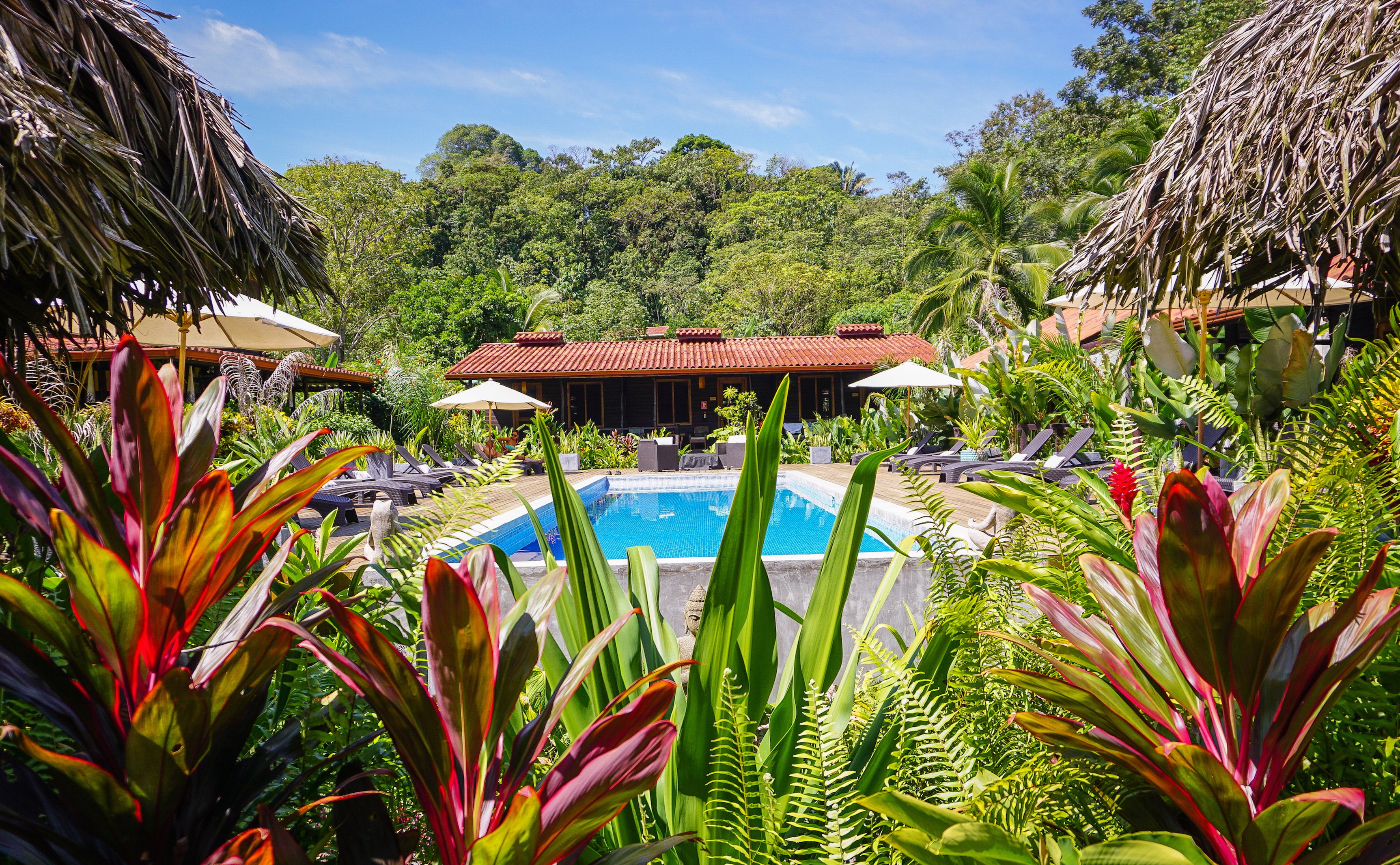 Island Plantation-官方