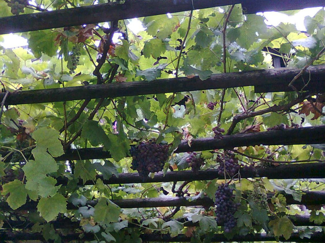 Hotel Restaurant Dobarsko