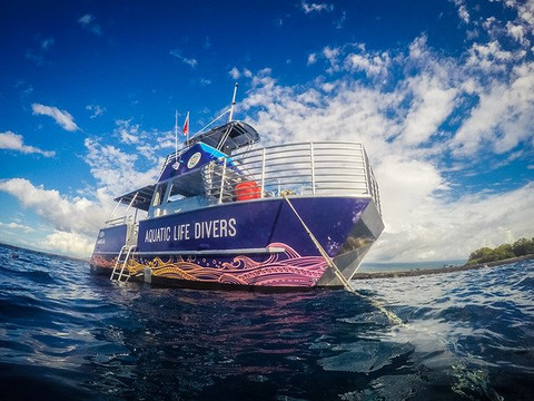 Aquatic Life Divers, Kona-凯鲁瓦-柯纳必去景点