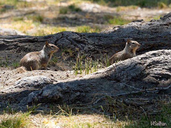 Covington Park-Morongo Valley必去景点