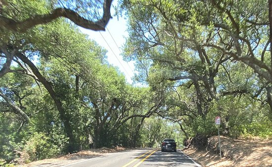 Cook's Corner-Silverado必去景点