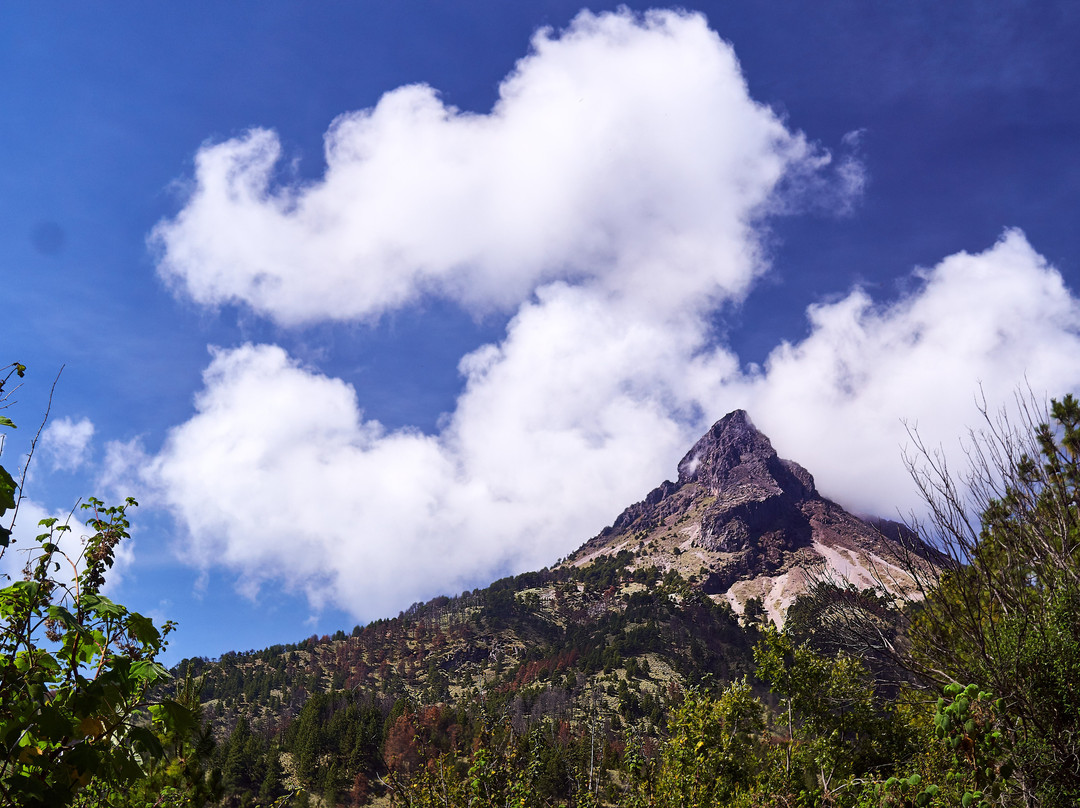 Parque Nacional Volcán Nevado de Colima景点图片