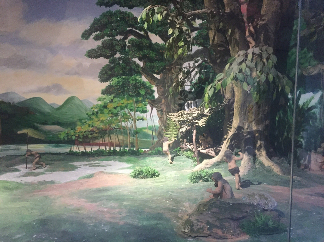 Dak Long旅游景点-Kon Tum Museum