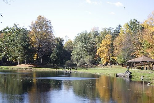 Depew Park景点图片