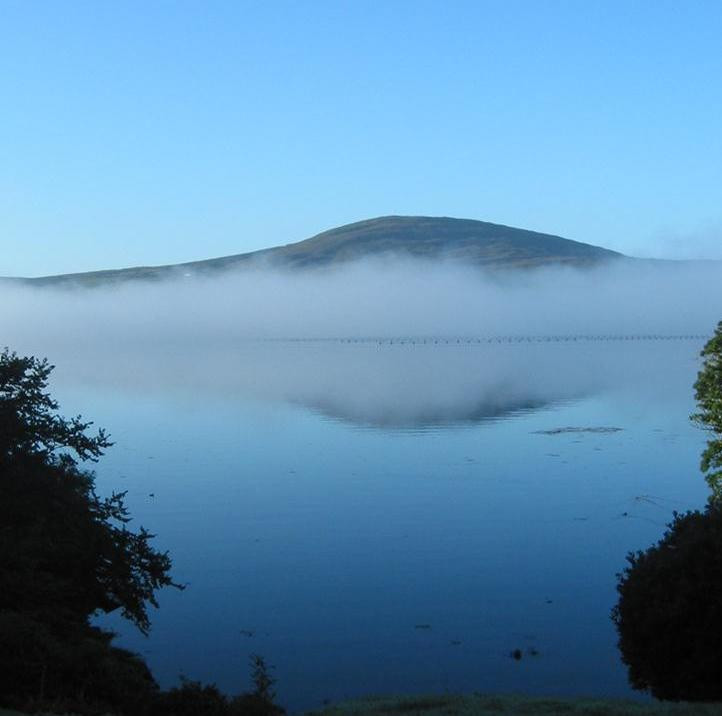 Mill Cove Gallery-凯里郡必去景点