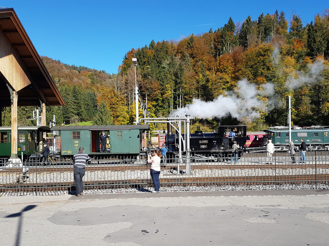 Dampfbahn-Verein Zürcher Oberland DVZO