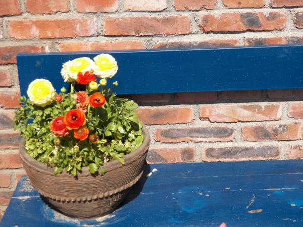 自在客栈-酒店景观