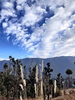 The Nature Walk主图