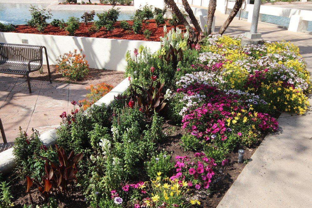 Scottsdale Civic Center-斯科茨代尔必去景点