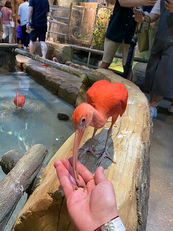 Zoolung Zoolung - Hanam-河南市必去景点