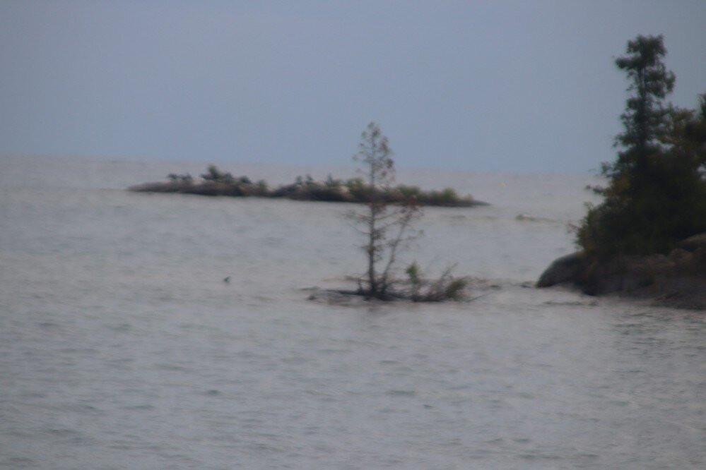 Mermaid's Cove-托伯莫里必去景点