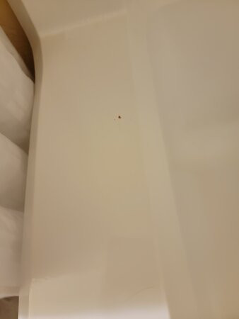 Travelodge by Wyndham Muskegon主图