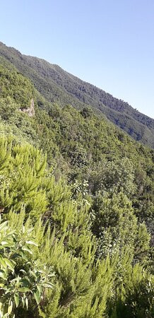Mirador De La Cumbre景点图片