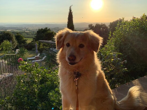 Agriturismo Scannano主图