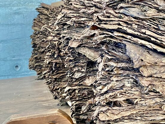 Black Chazaro-Ezequiel Montes必去景点