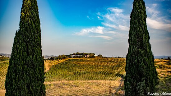 Agriturismo Isola Verde主图