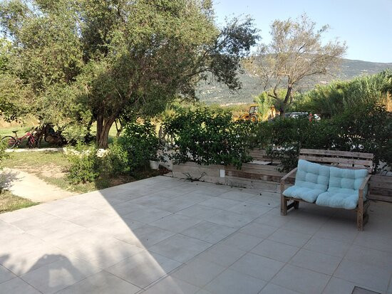 Il Viaggio Verde主图