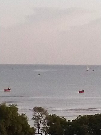 Pollos Hotel & Gallery主图