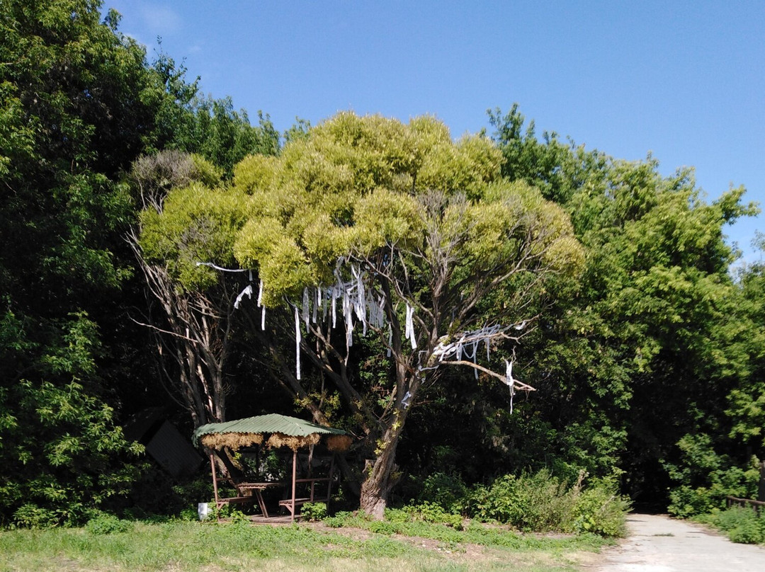 Privolye Tourist Base