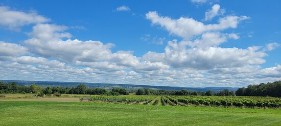 Bet the Farm Winery景点图片