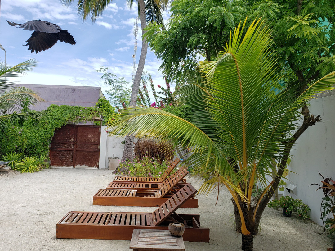 Manta Retreat