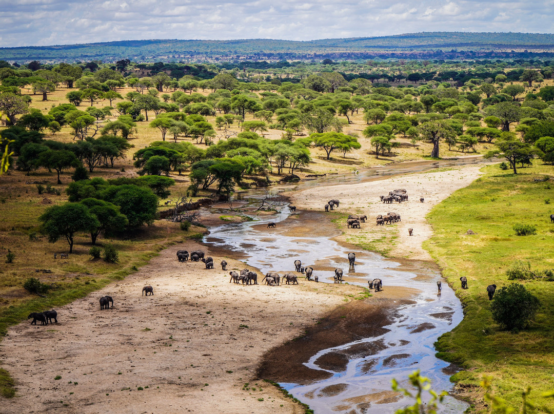 Tarangire Safari Lodge