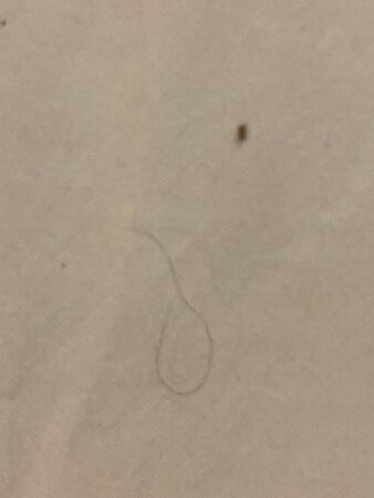 Best Western Plus Waterloo & Cedar Falls主图