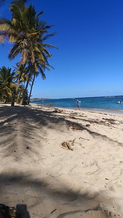 La Désirade-瓜德罗普岛必去景点