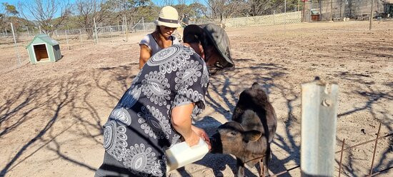 Elbenjo animal sanctuary-Northampton必去景点