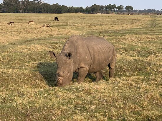 Plettenberg Bay Game Reserve-普利登堡湾必去景点