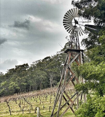 Marion's Vineyard-Deviot必去景点