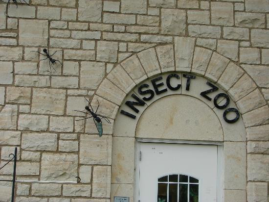 堪萨斯州立大学花园-曼哈顿必去景点