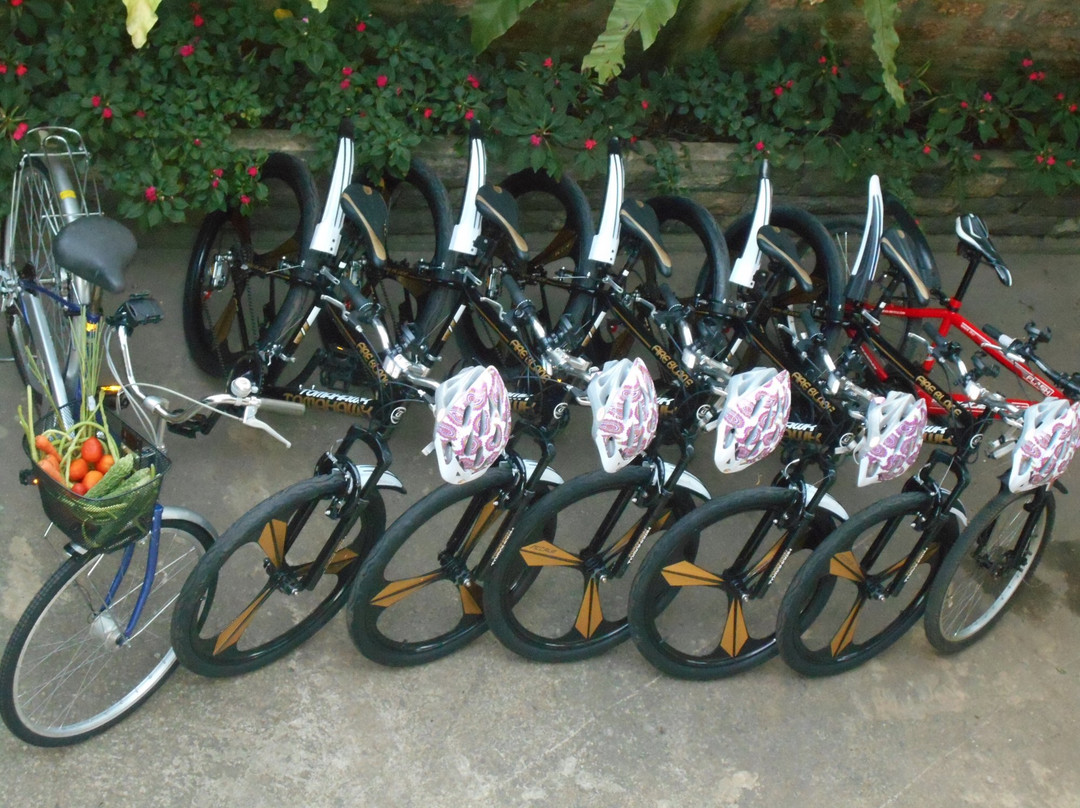 Colombo Riverdale Hotel主图