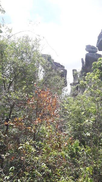 Reserva Natureza Divina