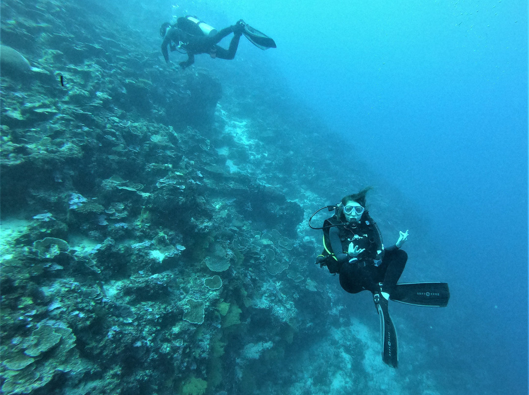 Swahili Divers & Gecko Nature Lodge
