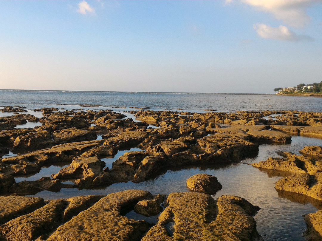 Paciran旅游攻略图片