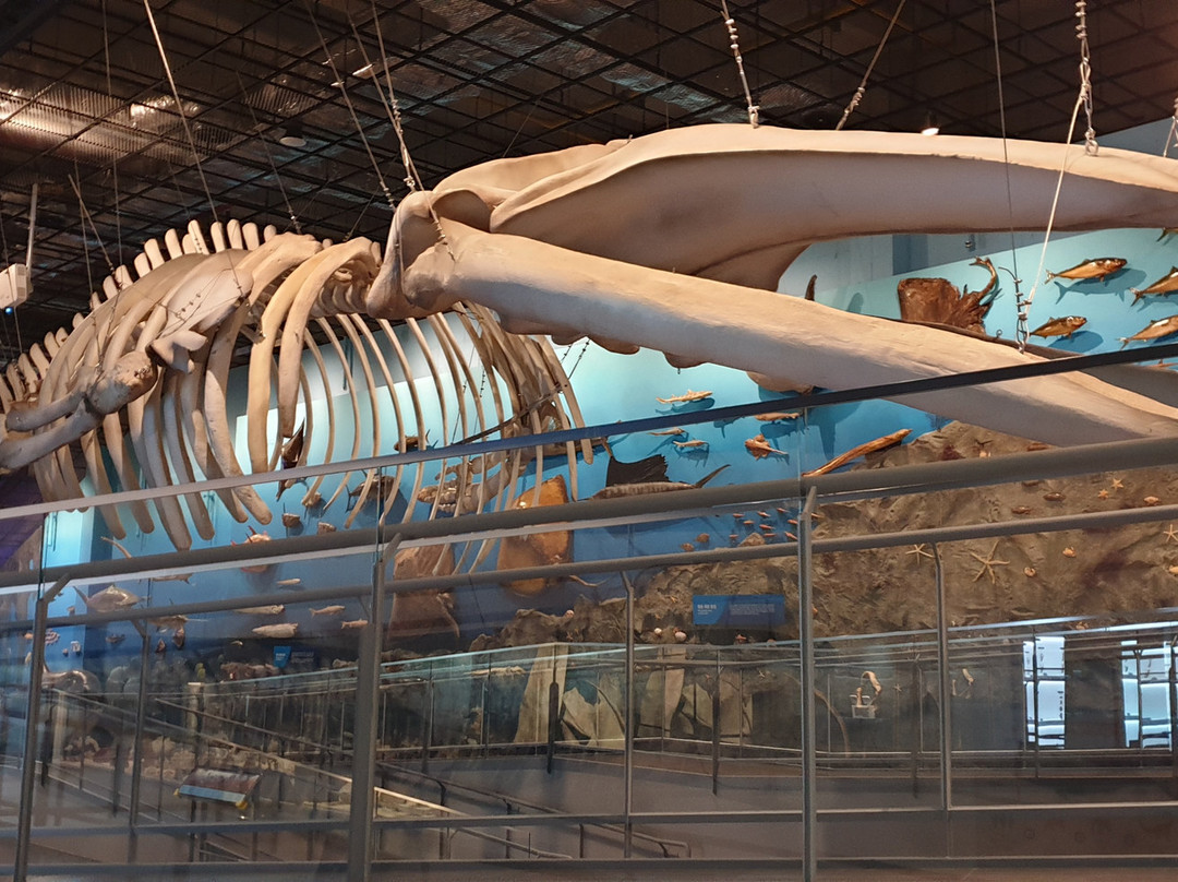 海南郡旅游景点-Ttangkkeut Marine Natural History Museum