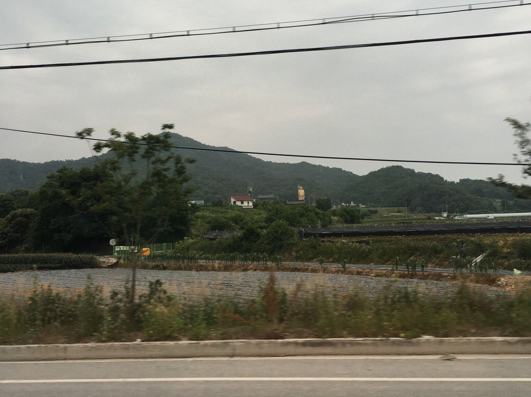 Donghwasa景点图片