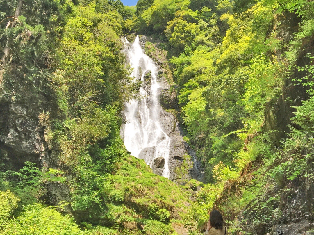 Kamba Falls景点图片