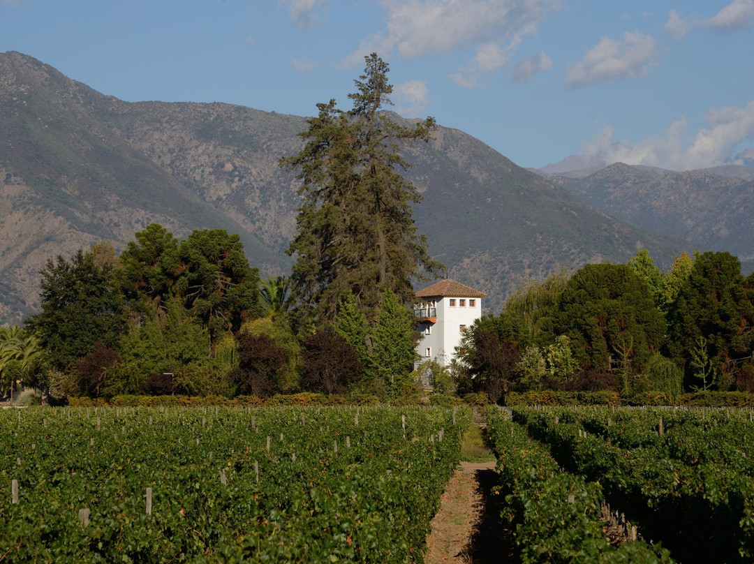 Quinta de Tilcoco旅游攻略图片
