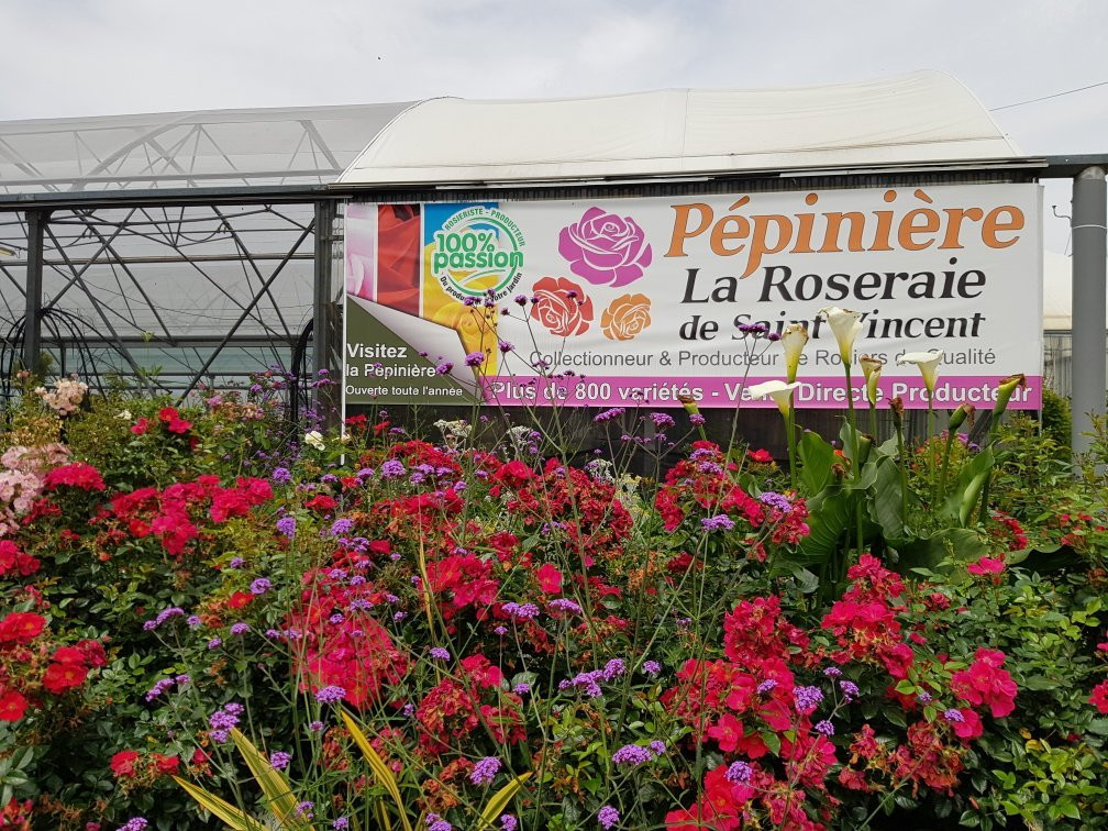 Saint-Vincent旅游攻略图片