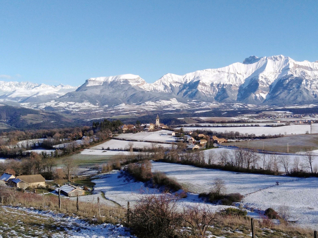 Percy旅游攻略图片