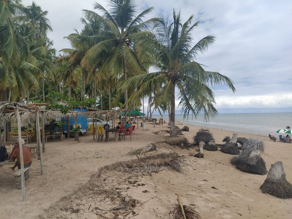 Tatuamunha Beach景点图片