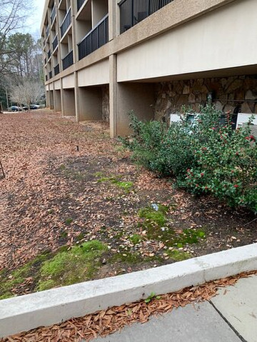 Hilton Peachtree City Atlanta Hotel & Conference Center主图