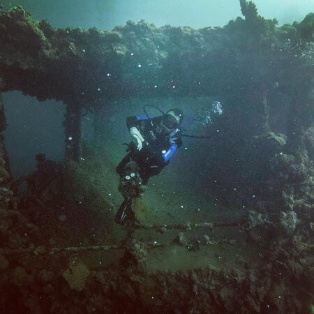 Red Sea Secret Diving Center景点图片