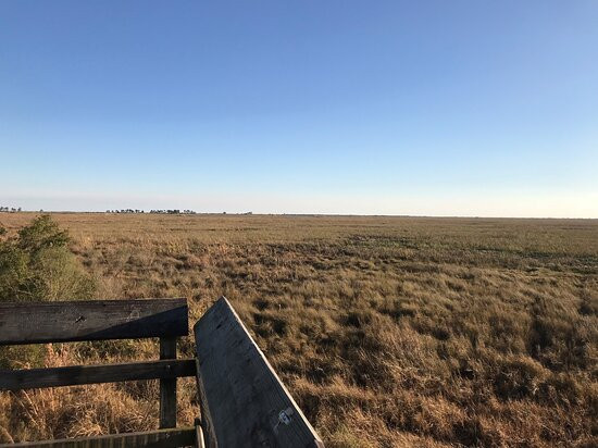 Big Branch Marsh National Wildlife Refuge景点图片