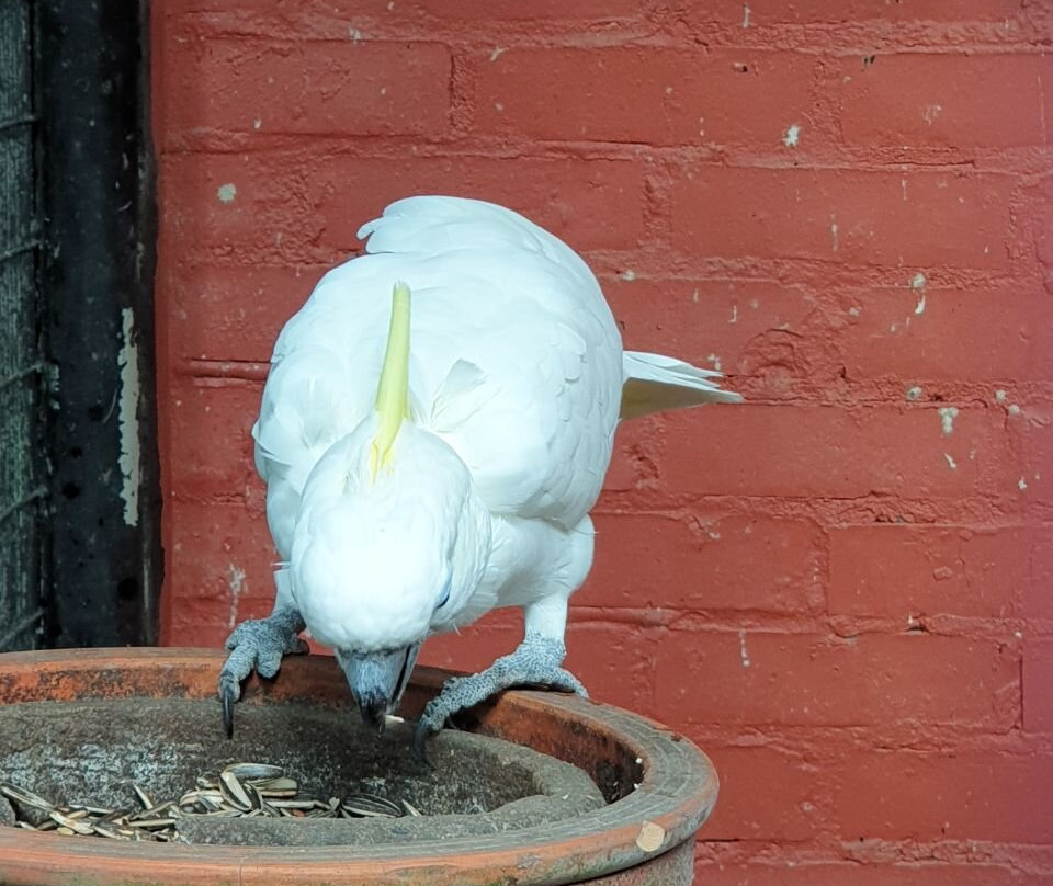 Taman Tumbina-宾图卢必去景点