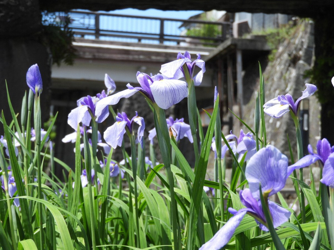 玉名市旅游景点-Takase Urakawa Brink Green Park